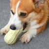 Teeth Interactive Bite Resistant Peanut Dog Toy Pet Toy Ball Squeak Vocal Molar