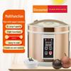 5L Multi-Functional Automatic Fermentation Machine for Rice Wine, Natto, Black Garlic, and Yogurt