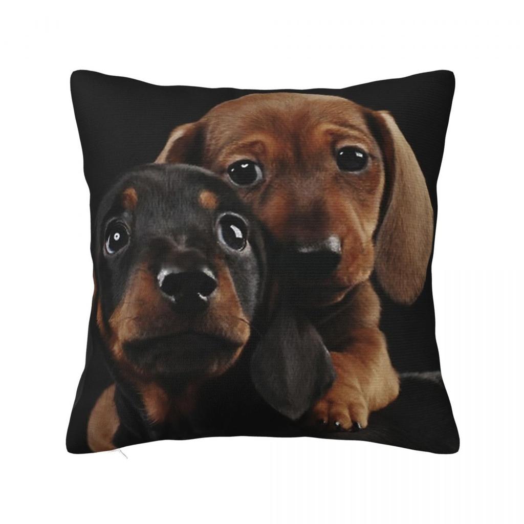 Dachshund Dog Square Pillow Covers Polyester Home Wiener Sausage Doxie Cushion Case Cute Decor Pillowcase 4040