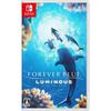 Игровая карта Nintendo Switch: Вечный Голубой Поток (Китайская версия)