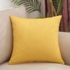 Solid Color Removable Washable Pillow Cover With Insert Bed Sofa Car Lumbar Support Modern Minimalist Home Decor