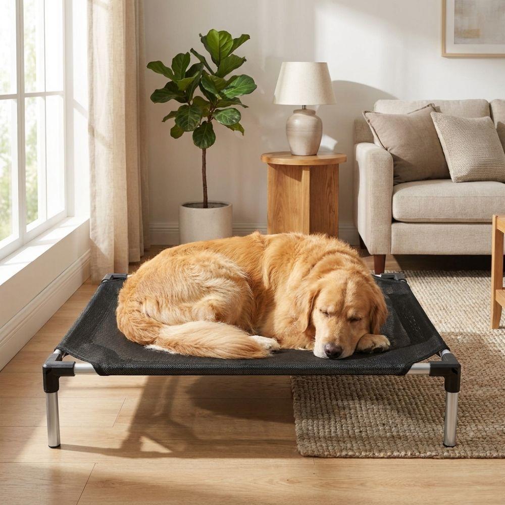 Breathable Mesh Elevated Dog Bed Waterproof Pet Cool Nest Durable Pet Cat Cot Outdoor Indoor Use