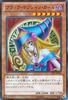 Yu-Gi-Oh Card Black Magician Girl (Ultra Rare) Memories of the Duel King Duelist Kingdom Edition (15AY)