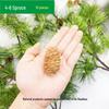 Natural Pine Cone and Dried Flowers Craft Kit for DIY Decor and Kindergarten Projects