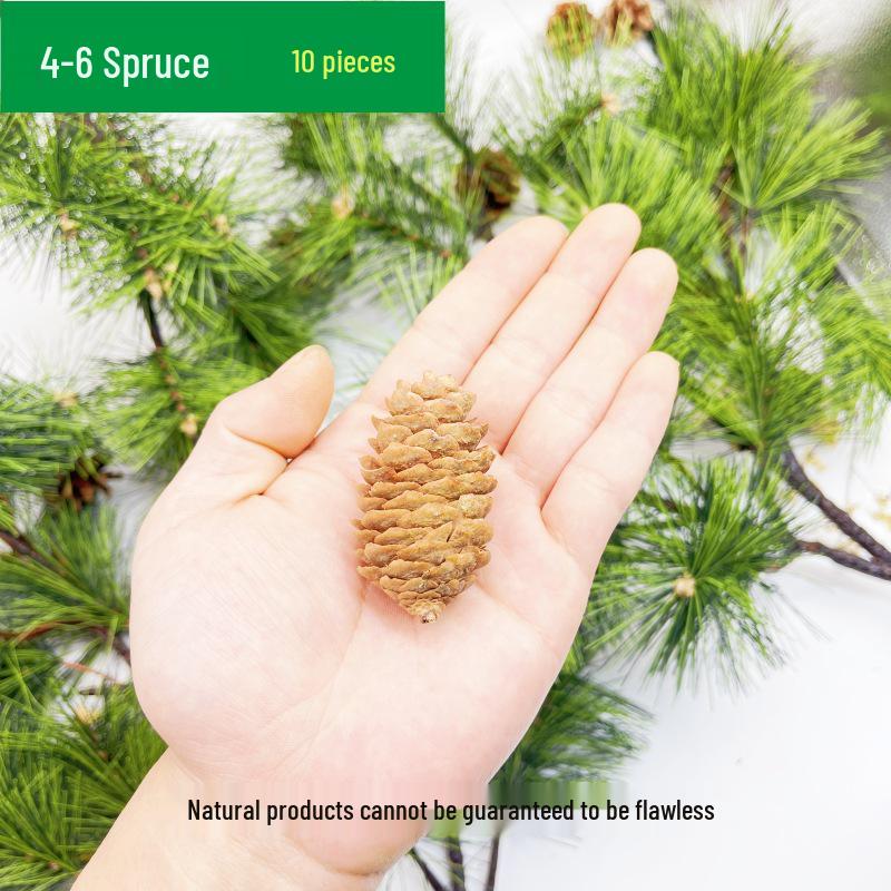 Natural Pine Cone and Dried Flowers Craft Kit for DIY Decor and Kindergarten Projects