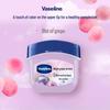 Vaseline Grape Scented Moisturizing Lip Balm (2-Pack)