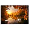 Canvas print, Swan on a pond autumn