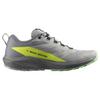 SALOMON Sense Ride 5 'Серый' L47144200