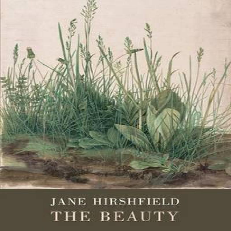 The Beauty by Jane Hirshfield Paperback Book 9781780372464