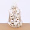Skeleton Figurine Realistic Non-See Non-Speak Non-Hear Statues Spooky Skeleton Collectible Ornaments for Halloween Haunted House