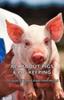 Книга All About Pigs & Pig-Keeping - 800 Questions and Answers