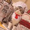 Cute Chef Hat Set Adjustable Cat Cosplay Hat Pet Accessories Pet Cooking King Hat  Pet Fashion Show