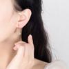 Zircon Is a Compact, Fashionable Mid-length Fan-shaped Style. Earrings