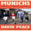 Munichs by David Author Peace Paperback Book 9780571381173
