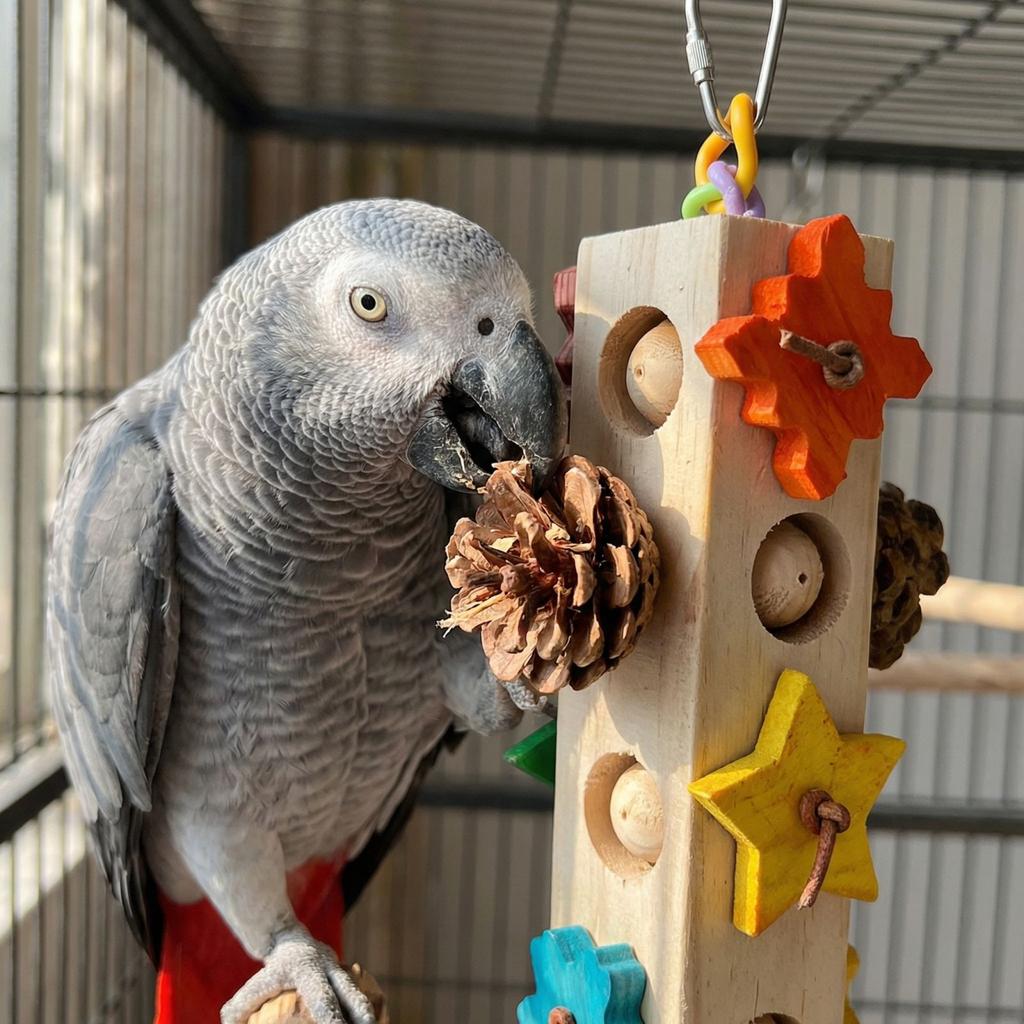 Попугай Грызть Зубы Снимать Скуку Деревянная Сосновая Шишка Строительный Жевательный Стикер