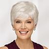 European and American Style Middle Aged Women's Natural Looking Synthetic Fiber Short Straight Gradient Silver Gray Wig