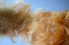 Steiff Pekingese dog plush toy doll figure antique German-made vintage_ig4157