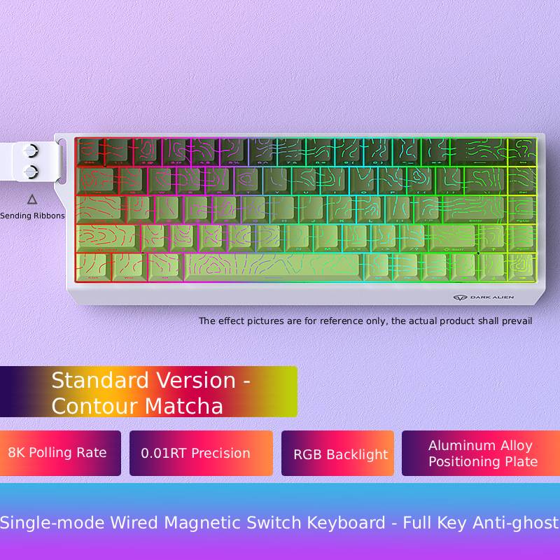 Low Noise USB Wired Keyboard 8K Return Hot Swap 0.01mm RT Custom RGB 65% Layout Size E-Sports Mechanical Gaming Keyboard