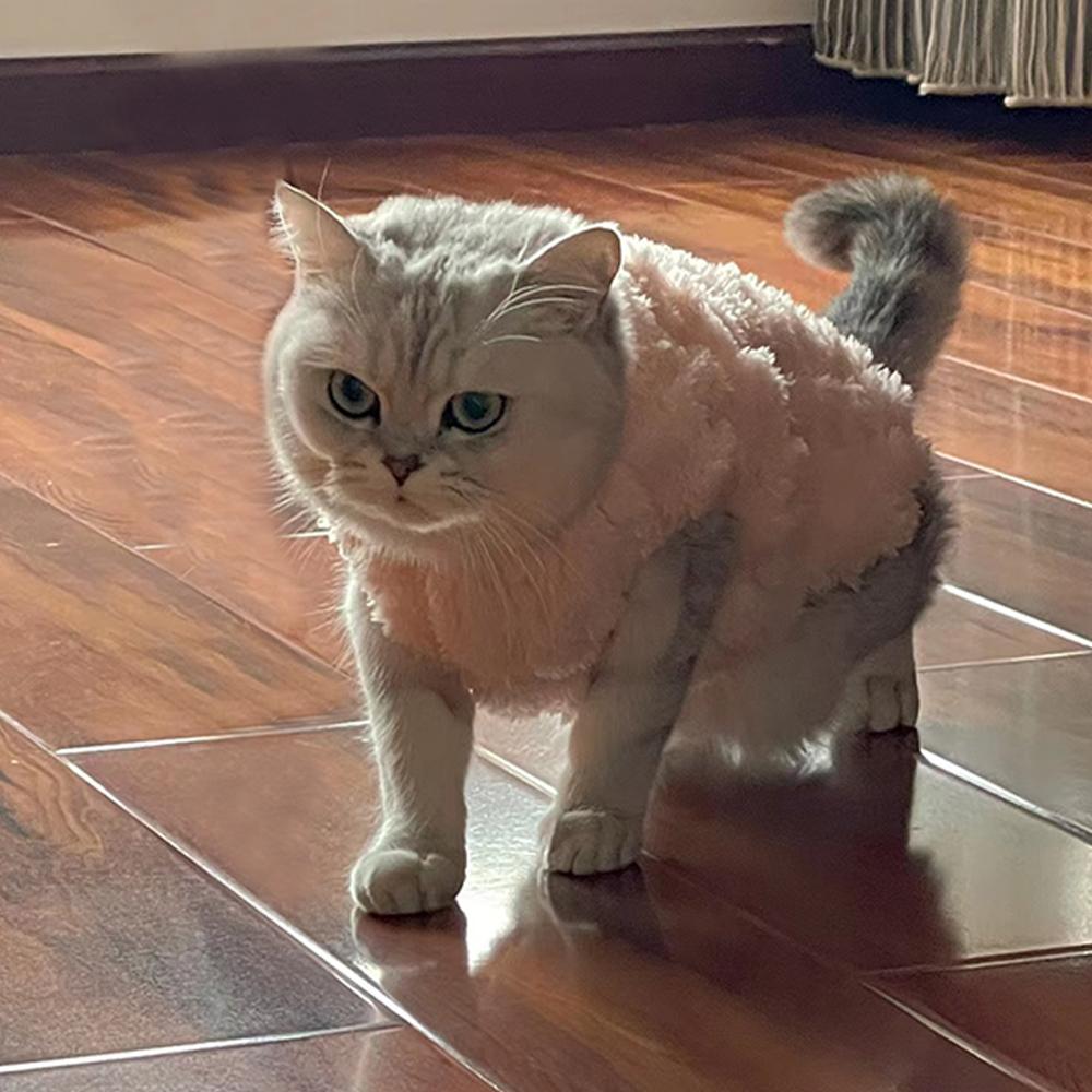 Winter Dog Clothes Pet Cat Autumn Twisted Double-faced Fleece Vest Clothing