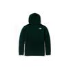 THE NORTH FACE Sweatshirts Unisex Green Hooded Moderate Regular NF0A5JVL-HDB
