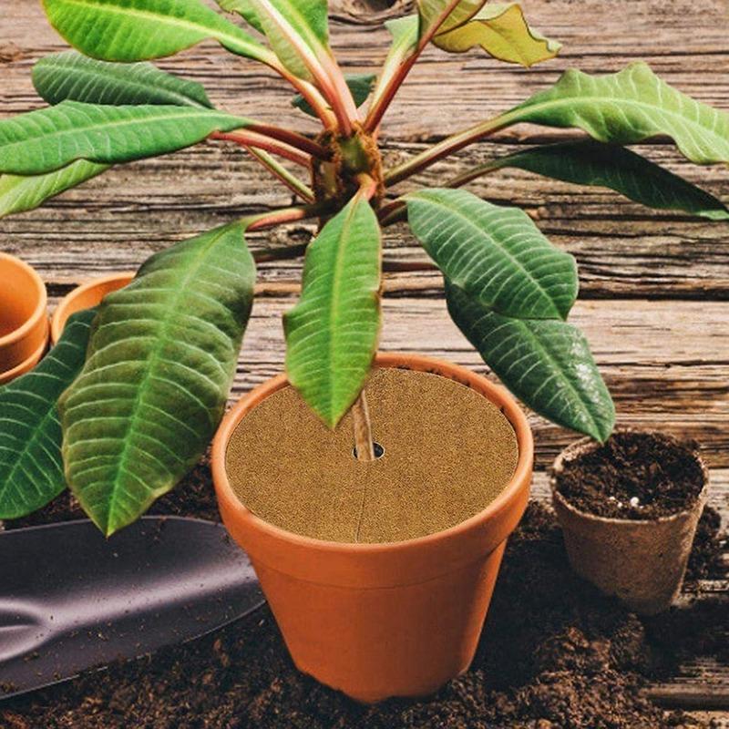 Кокосовый подкладочный лист, рулон растительного волокна, натуральный коврик, подстилка для рептилий, зимняя изоляция, поставка корзин для цветочных горшков