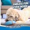 Chuckit! Indoor Super Slider Dog Toy, Indoor Toy, 50993D (Authentic Product)