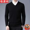 Men's 100% Pure Wool V-Neck Sweater