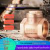 Durable Brass Horizontal Check Valve - Anti-Backflow, Fully Automatic, 6 Points for Tanks and Pipes