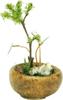 PLATZ БОНСАЙ Круглый горшок Кашпо Готовое изделие BONN02 1/12 [Коричневый]