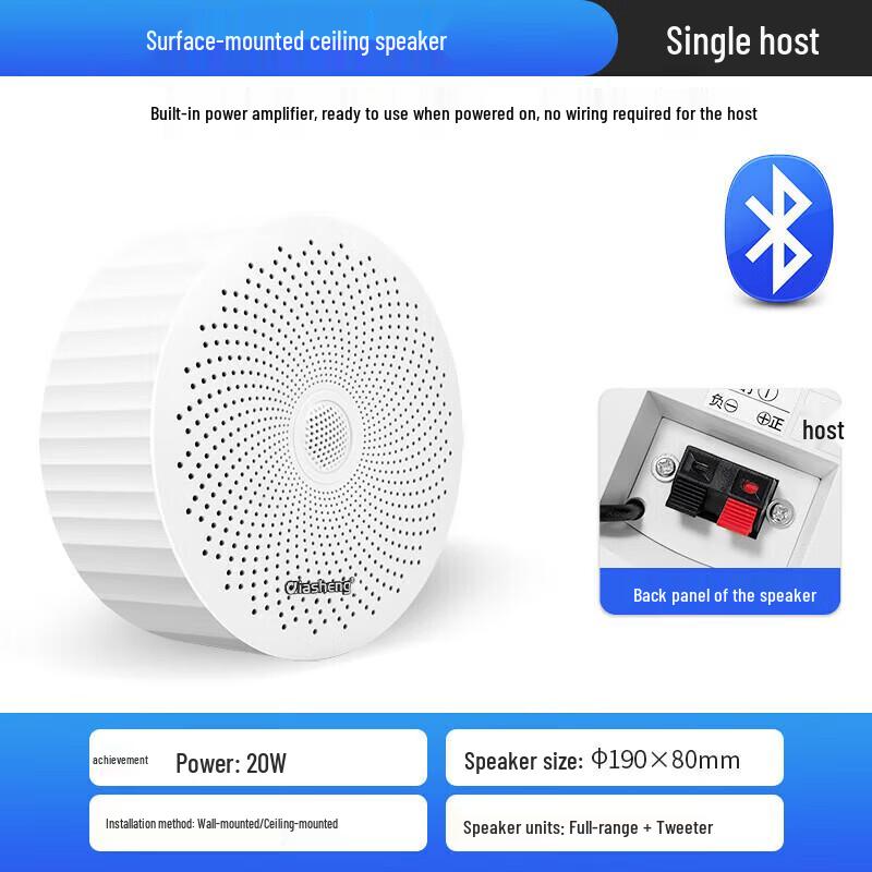 QIASHENG Wireless Bluetooth Ceiling Speaker CN plug (adapter included) (CN version)