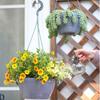 Grey Brown Hanging Flower Pots Self Watering Plant Flowerpot High Quality Planter  Balcony Decor