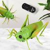 Simulation Electric Crawling Grasshopper Mantis Remote Control Trick Toy Animal Insect Model Collection Cross-border Amazon