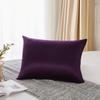 25 Momme  Natural Mulberry Silk Pillowcase,Both Sided Pure Silk Pillow Cover Gifts for Women,Pure Silk Pillowcsae For Hair