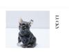 Charming Wangcai French Bulldog Figurine: Crystal Chip Stone Resin Craft