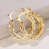 Hollow Out Hoop Earrings for Women Metallic Style Fashion Versatile Daily Wear Earrings Fancy Girl Gift Statement Jewelry