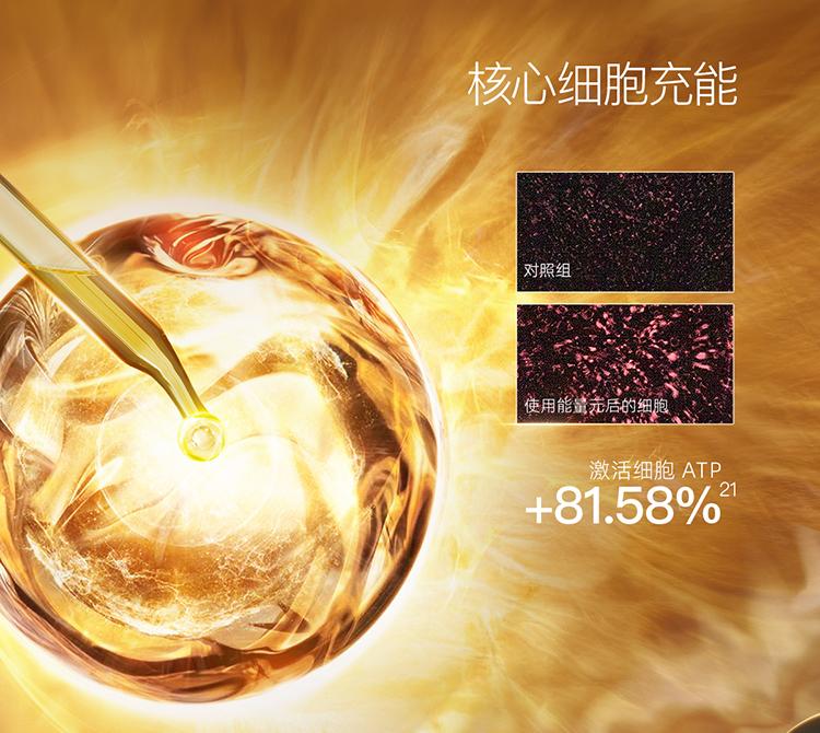 [New product] [Limit 1 piece per ID 500] 11 seed firming anti wrinkle essence oil 30ml