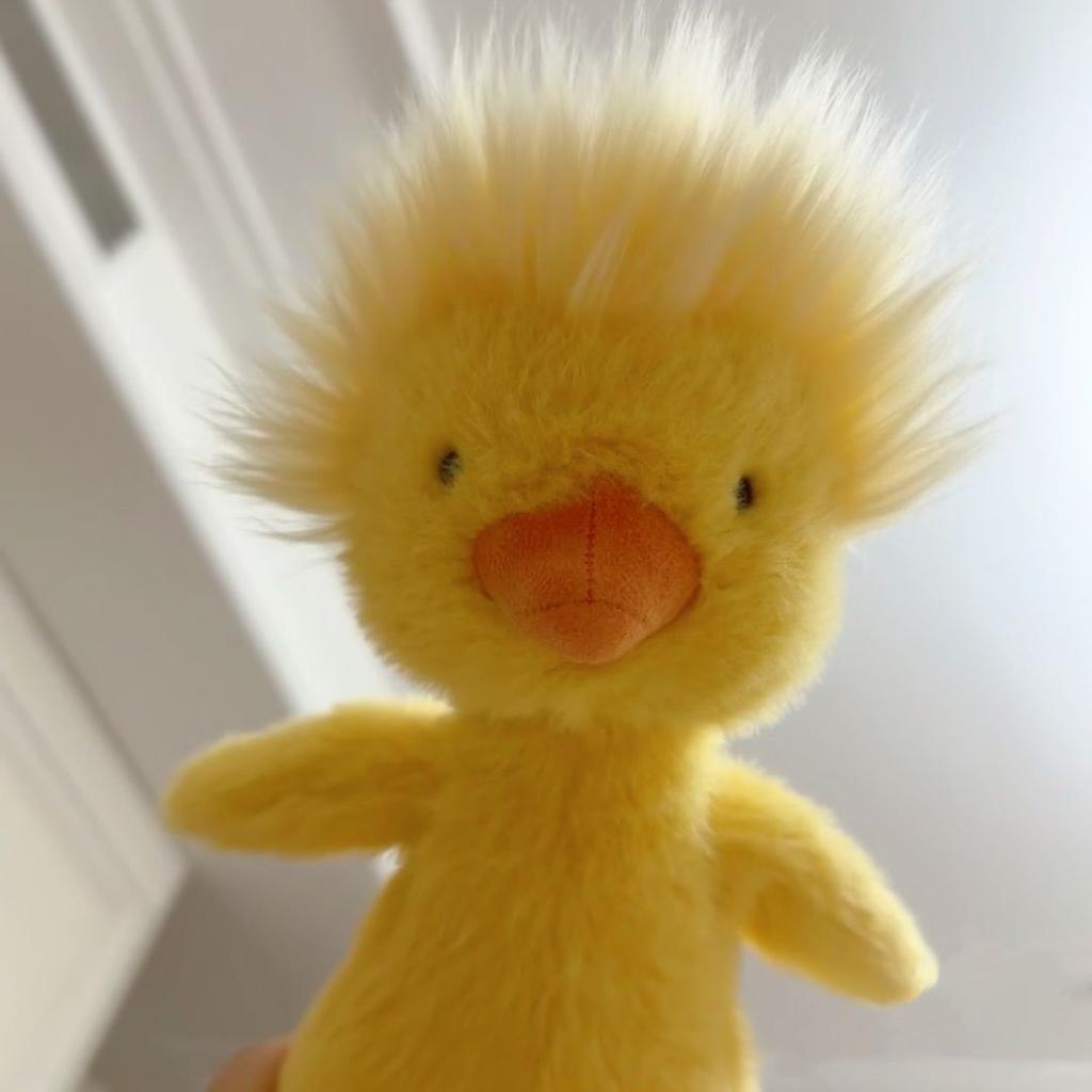 Cute Fried Duck Plush Toy Doll Breathable Duckling Doll Hairstyle Duck Birthday Gift for Boyfriend and Girlfriend