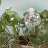 Cactus Automatic Plant Watering Bulbs Glass Plant Water Feeder Glass Bulbs Indoor
