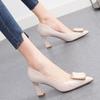 Chunky Platform Pumps Women Pointed Toe  Single Shoes Spring Autumn High Heels Woman Ankle Buckle Thick Heeled  Shoes