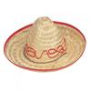 Childrens/Kids Sombrero Hat