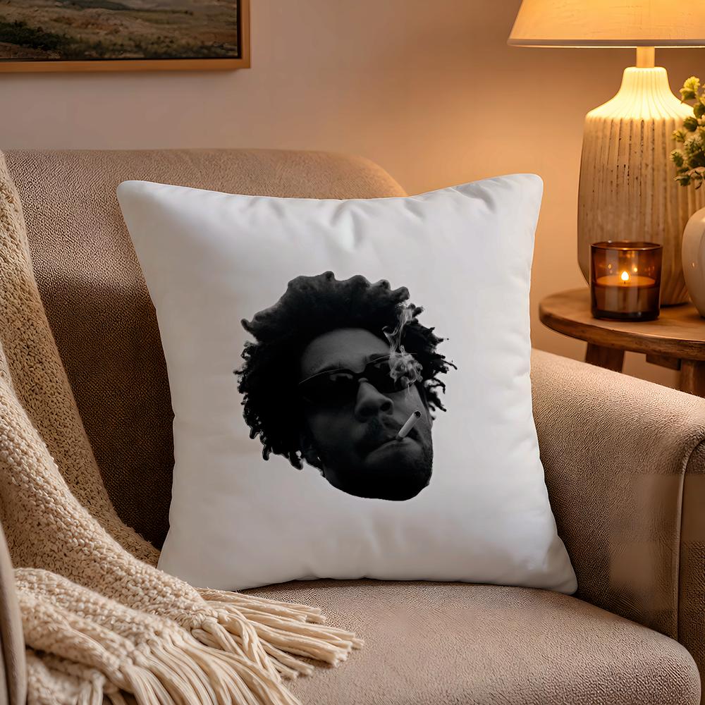 Chill RNB Singer BBrent Faiyaz Pillow Case Soft Plush Cushion Cover Double Print and Invisible Zipper for Sofa Home Car Use
