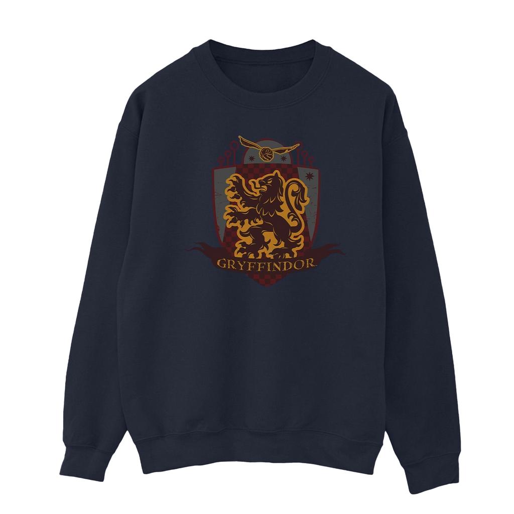 HARRY POTTER Мужская толстовка с нагрудным значком Гриффиндора