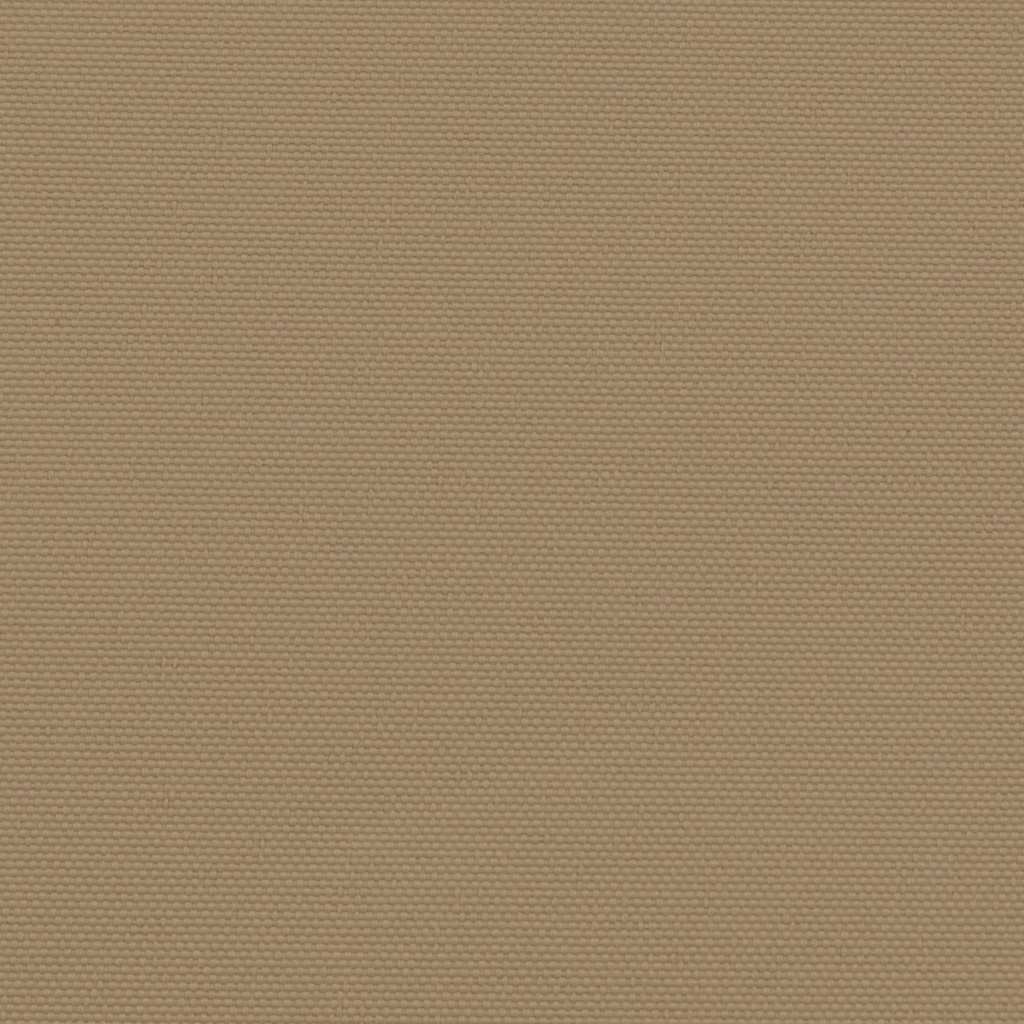 Retractable Side Awning Taupe 220x300 cm