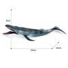 Realistic Blue Whale Action Figure Toy Wild Whale Desktop Ornament  Educational Kids Toy