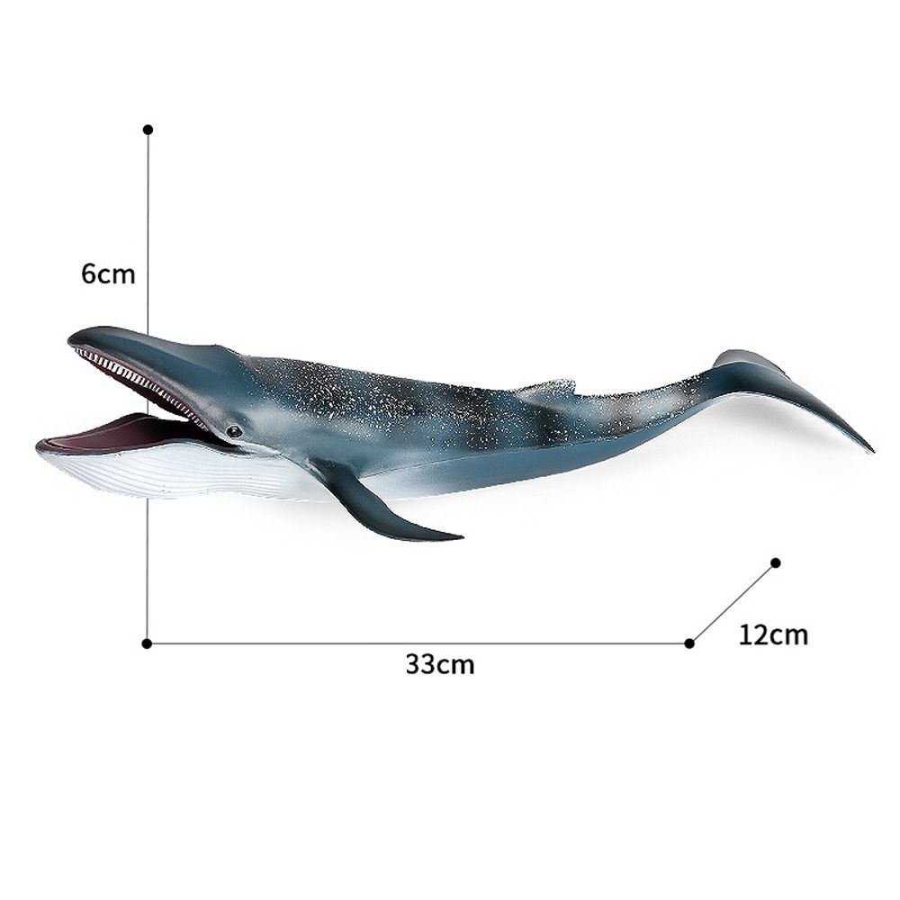 Realistic Blue Whale Action Figure Toy Wild Whale Desktop Ornament Educational Kids Toy