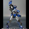 Grandine Tamashii Web Exclusive S.H.Figuarts