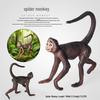 Трансграничное моделирование примата: Когнитивная игрушка-украшение «Обезьяна-паук»