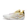 Баскетбольные кроссовки Li Ning Wade 808 5Ultra V2 Мужские Низкие Белый/Золотой ABAV045-22
