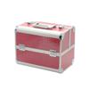 Professional Cosmetic and Manicure Tool Case: Portable Storage for Eyebrow, Eyelash, and Makeup Essentials