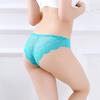 A Piece Of Silk Seamless Breathable Sexy Lace Waist Ladies Underpants EMA